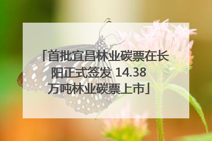 首批宜昌林业碳票在长阳正式签发 14.38万吨林业碳票上市