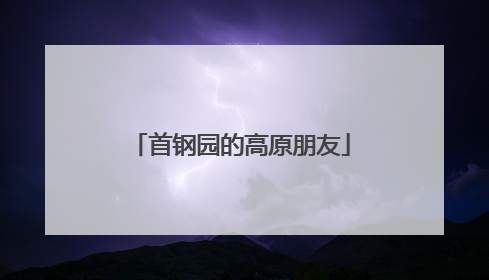 首钢园的高原朋友