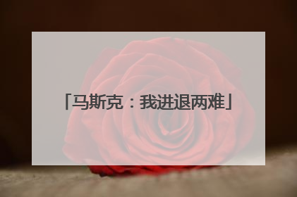 马斯克：我进退两难