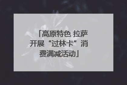 高原特色 拉萨开展“过林卡”消费满减活动