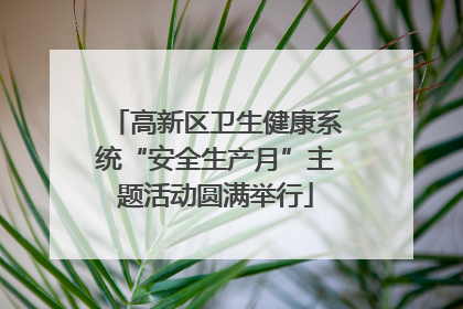 高新区卫生健康系统“安全生产月”主题活动圆满举行