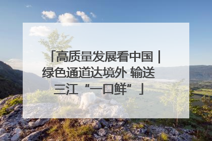 高质量发展看中国｜绿色通道达境外 输送三江“一口鲜”