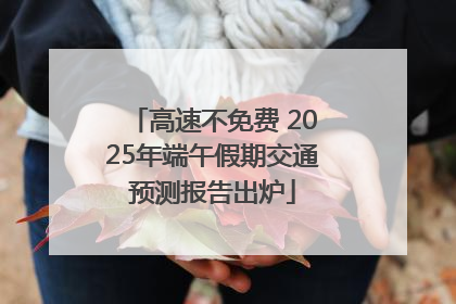 高速不免费 2025年端午假期交通预测报告出炉