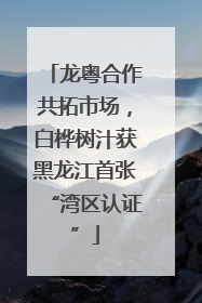 龙粤合作共拓市场，白桦树汁获黑龙江首张“湾区认证”