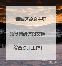 鲤城区政府主要领导调研道路交通综合提升工作