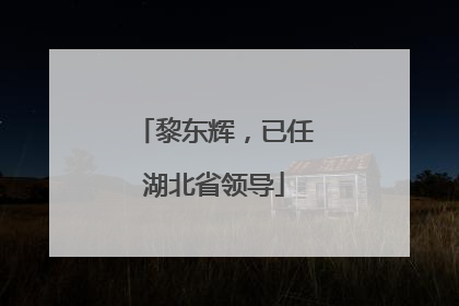 黎东辉，已任湖北省领导