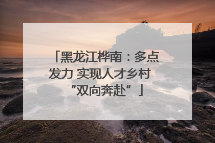 黑龙江桦南：多点发力 实现人才乡村“双向奔赴”