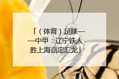 （体育）足球——中甲：辽宁铁人胜上海嘉定汇龙
