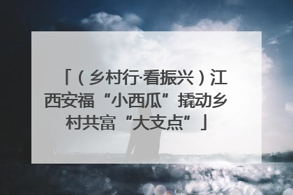 （乡村行·看振兴）江西安福“小西瓜”撬动乡村共富“大支点”