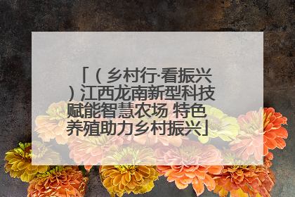 （乡村行·看振兴）江西龙南新型科技赋能智慧农场 特色养殖助力乡村振兴