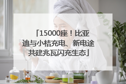 15000座！比亚迪与小桔充电、新电途共建兆瓦闪充生态