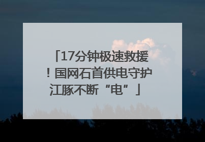 17分钟极速救援！国网石首供电守护江豚不断“电”