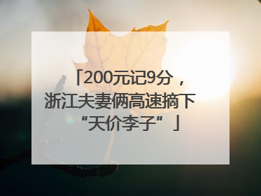 200元记9分，浙江夫妻俩高速摘下“天价李子”