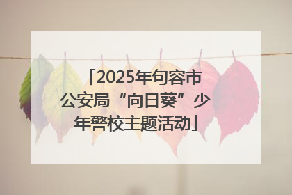 2025年句容市公安局“向日葵”少年警校主题活动