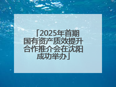 2025年首期国有资产质效提升合作推介会在沈阳成功举办