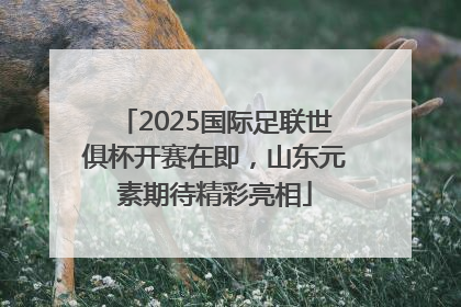 2025国际足联世俱杯开赛在即，山东元素期待精彩亮相