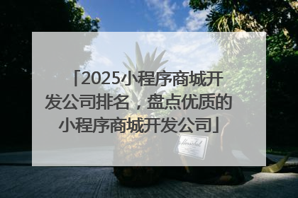 2025小程序商城开发公司排名，盘点优质的小程序商城开发公司