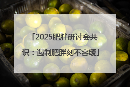 2025肥胖研讨会共识：遏制肥胖刻不容缓