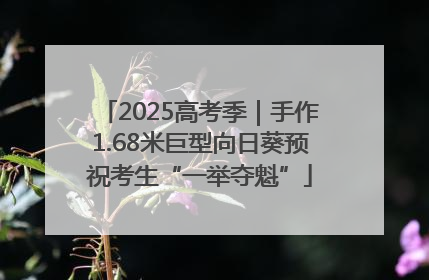 2025高考季｜手作1.68米巨型向日葵预祝考生“一举夺魁”