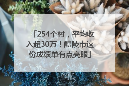254个村，平均收入超30万！醴陵市这份成绩单有点亮眼