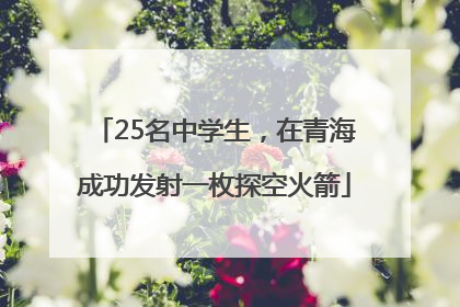 25名中学生，在青海成功发射一枚探空火箭