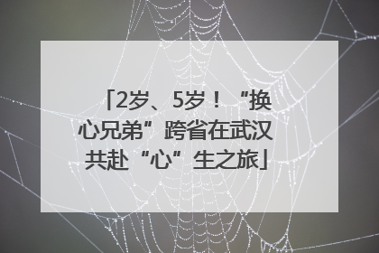 2岁、5岁！“换心兄弟”跨省在武汉共赴“心”生之旅
