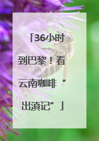 36小时到巴黎！看云南咖啡“出滇记”