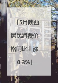 5月陕西居民消费价格同比上涨0.3%