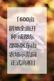 600亩耕地全面开种 成都东部新区东山农场示范园正式亮相