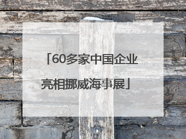 60多家中国企业亮相挪威海事展
