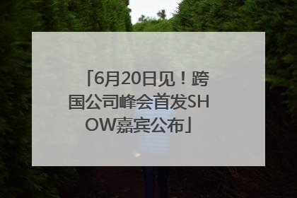 6月20日见！跨国公司峰会首发SHOW嘉宾公布