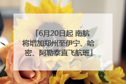 6月20日起 南航将增加郑州至伊宁、哈密、阿勒泰直飞航班