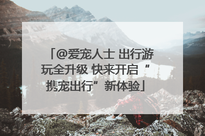 @爱宠人士 出行游玩全升级 快来开启“携宠出行”新体验