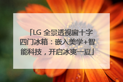 LG 全景透视窗十字四门冰箱：嵌入美学+智能科技，开启冰爽一夏